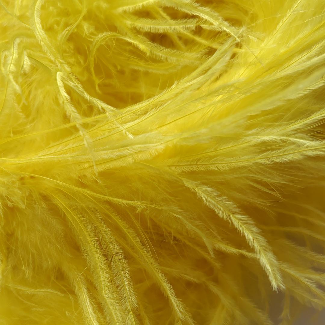 【ツル】3PLY オーストリッチ　黄色