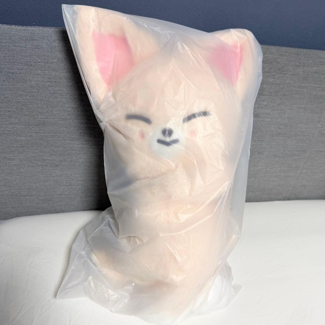 straykids celebrATE プラッシュバッグ フォクシニー