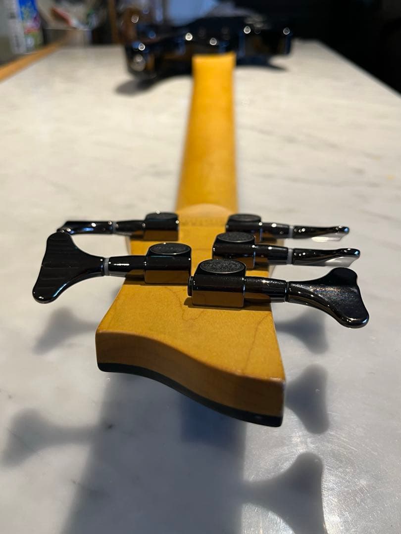 Schecter Diamond Series Elite-5 5弦ベース