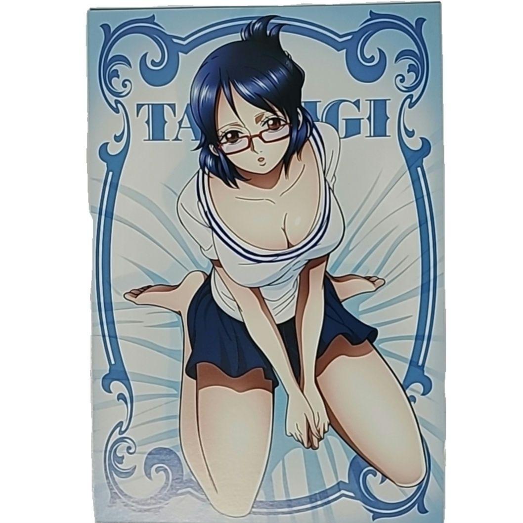 ONE PIECE たしぎ ポストカード ブロマイド 未使用