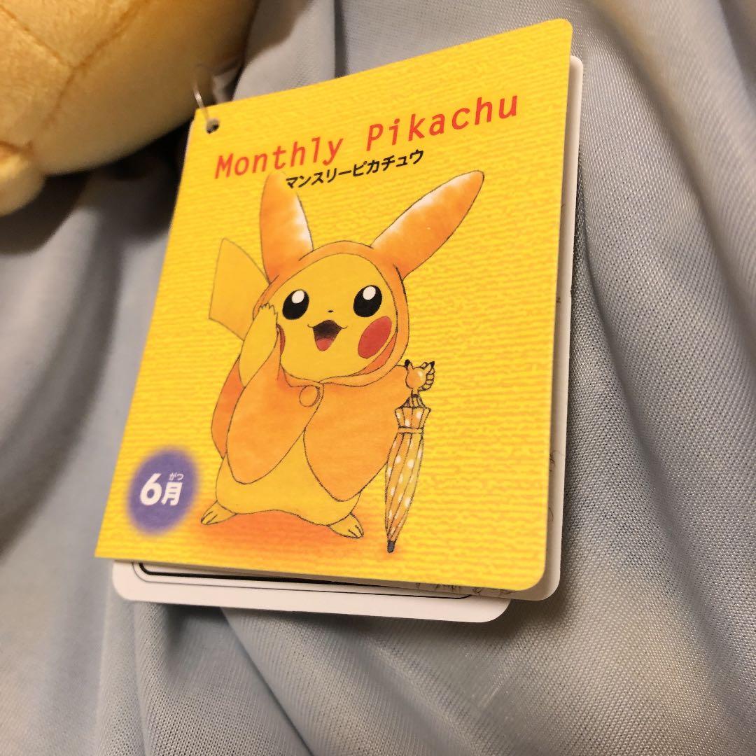 ポケモンセンター　マンスリーピカチュウ ポケモン　ぬいぐるみ　6月レインコート