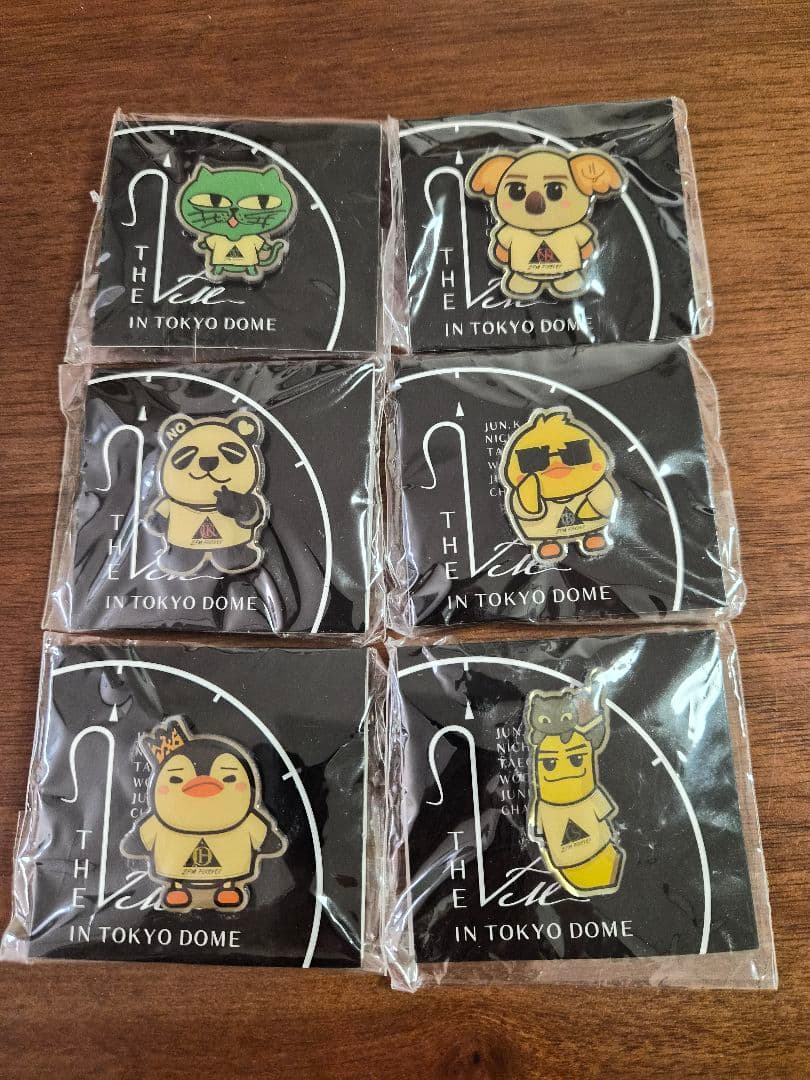 2PM THE 2PM in TOKYO DOME ピンバッジセット