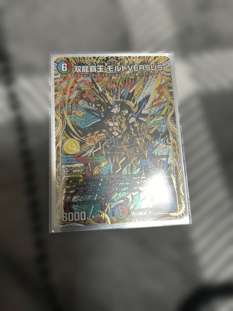 双龍戦玉モルトVERSUSシークレット