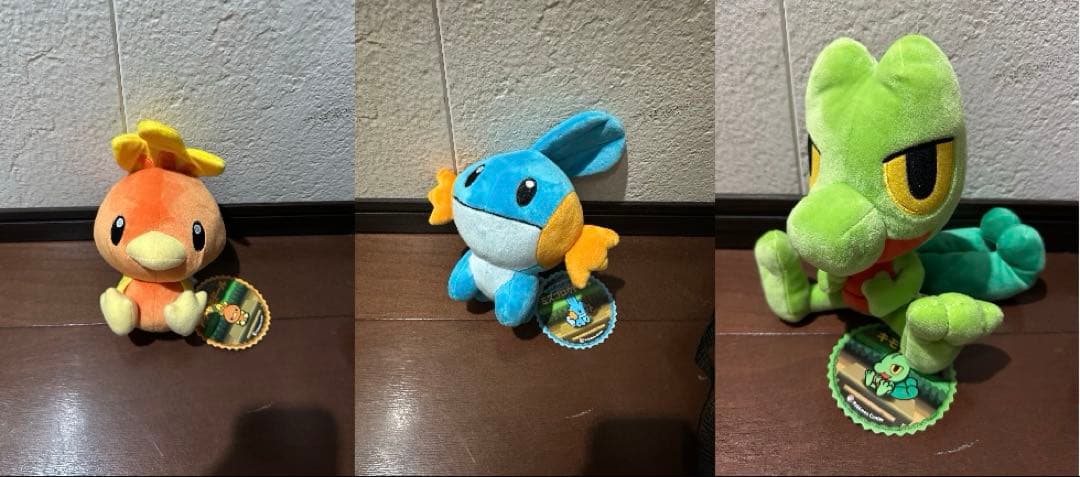 スーパーひみつきちのぬいぐるみ ホウエン