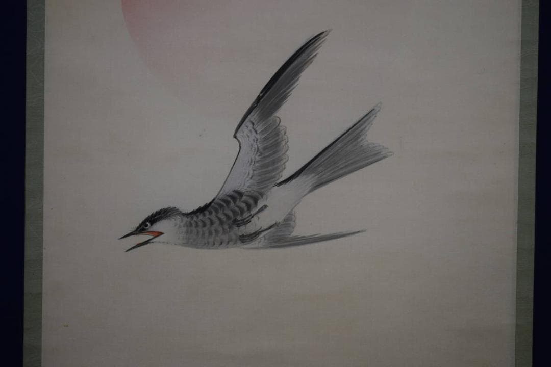 真作/弓家恒畝/杜鵑図/ホトトギス図/絹表装/布袋屋掛軸HH-243