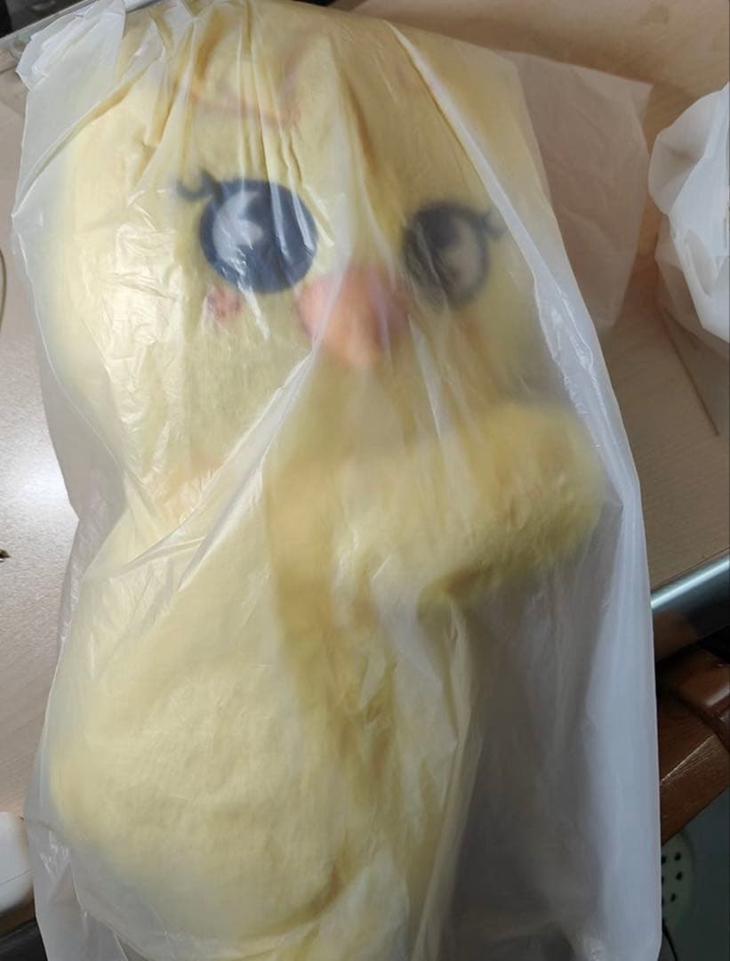 Straykids POPUPcelebrATE SKZOO BAG ポガリ