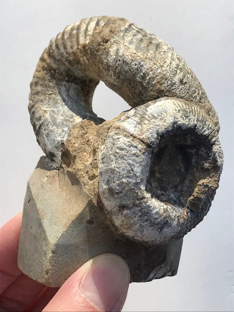 Mew様 リクエスト 3点 まとめ商品