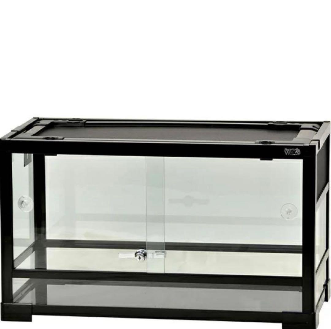 【断捨離セール】パンテオン6035 ブラック