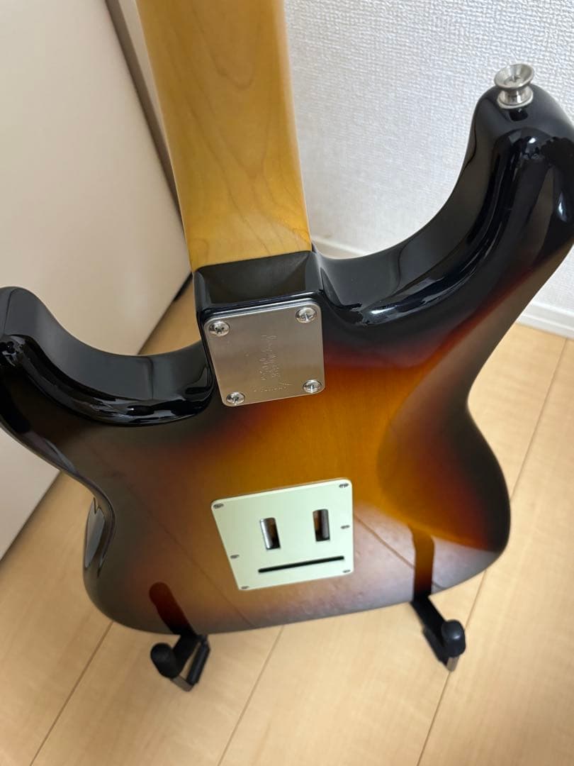 p*l様 fujigen（FGN） SNST101-3TS 【限定生産品】