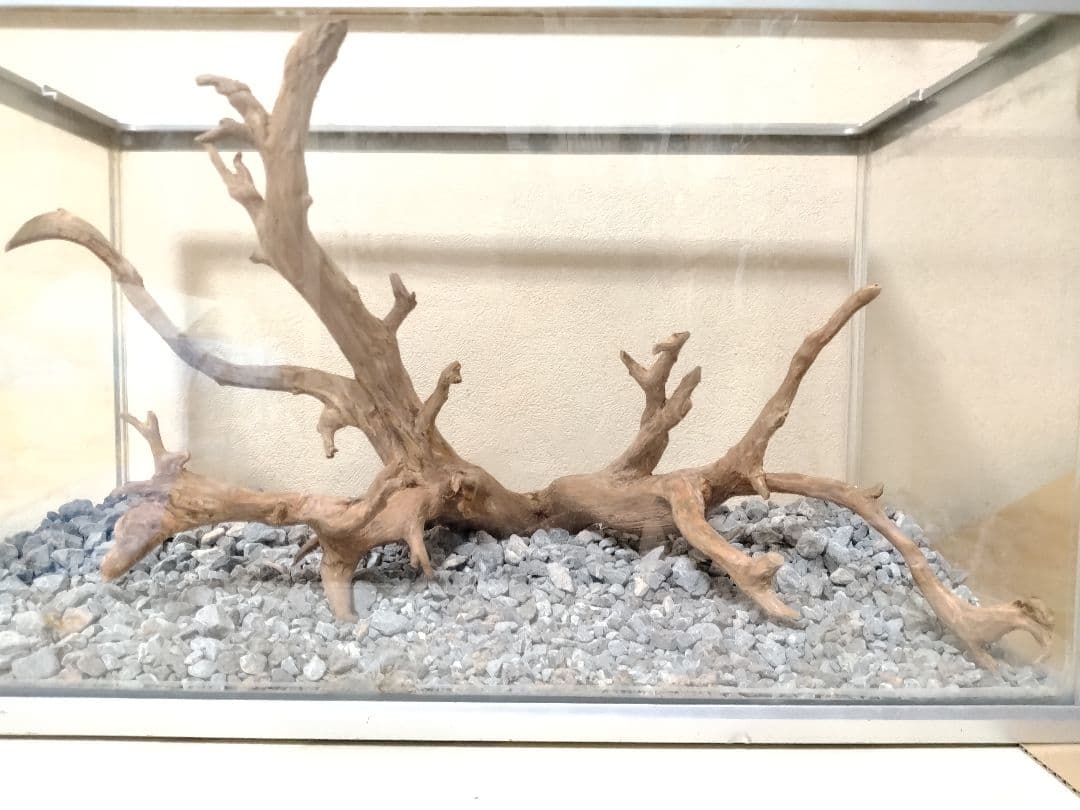 流木・ΝΟA29　春まで休みます