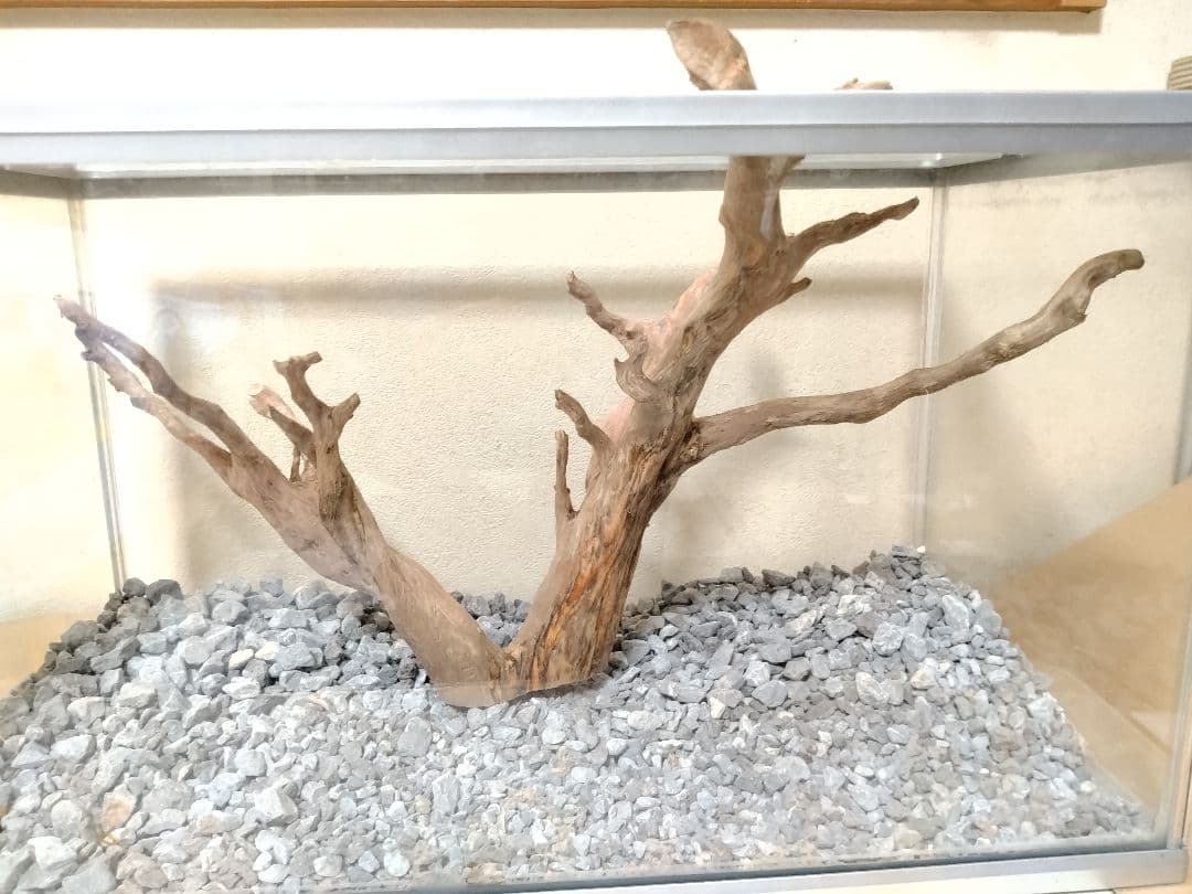 流木・ΝΟA29　春まで休みます