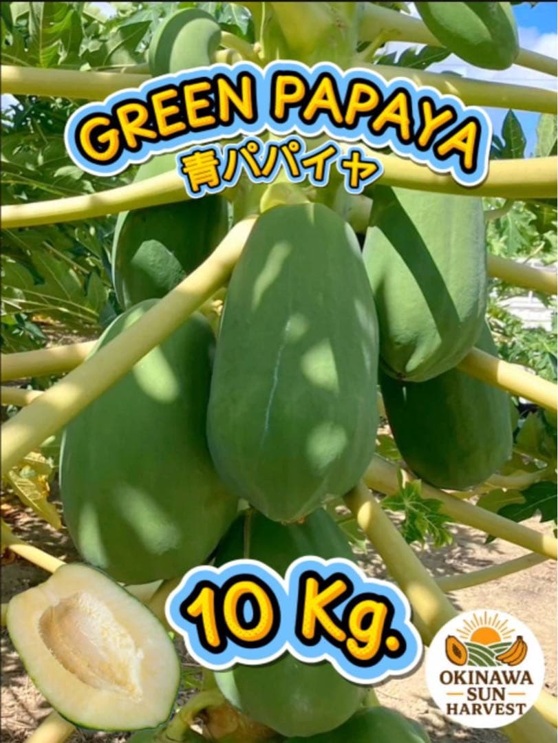 グリーンパパイヤ 10Kg