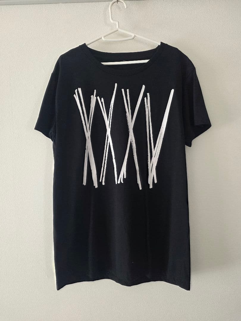ONE OK ROCK 2015 ツアーTシャツ XL