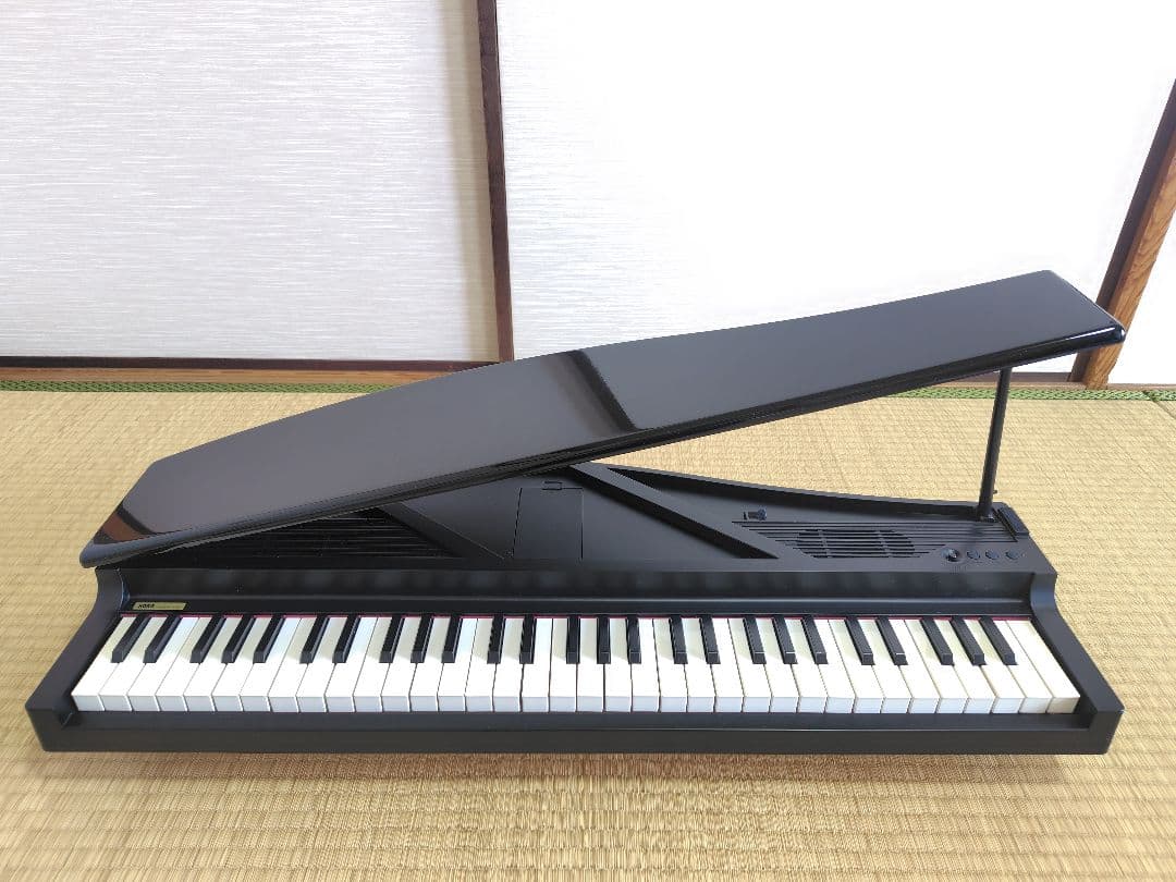 KORG MICRO PIANO 61鍵 黒 電子ピアノ