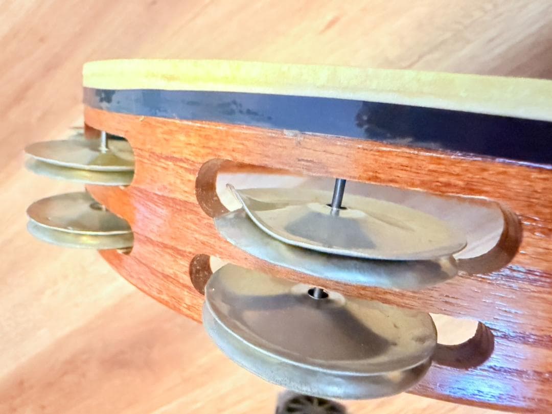 Black Swamp タンバリン 正規品 専用ケース付き