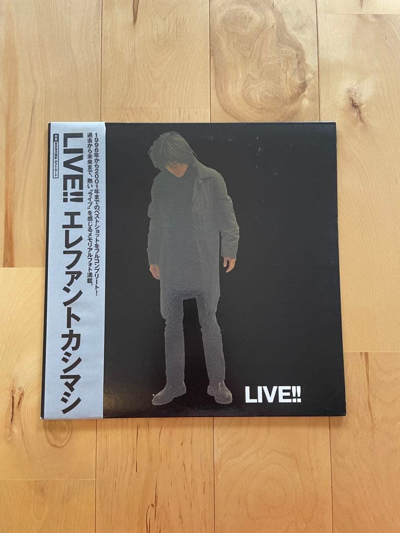 エレファントカシマシ ツアー パンフ LIVE !! エレカシ 宮本浩次