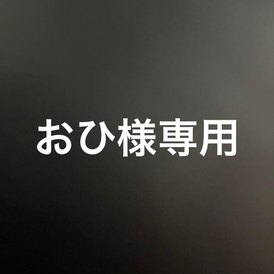 おひ　Bristol ドット柄 半袖Tシャツ L ホワイト