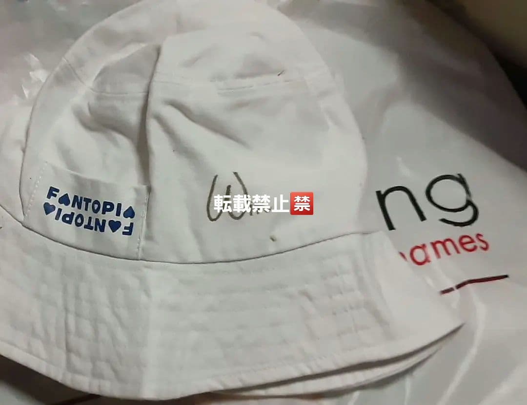 fantopia 帽子　winwin brightwin
