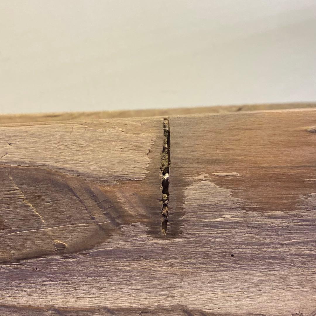 オブジェ INCARNATION.