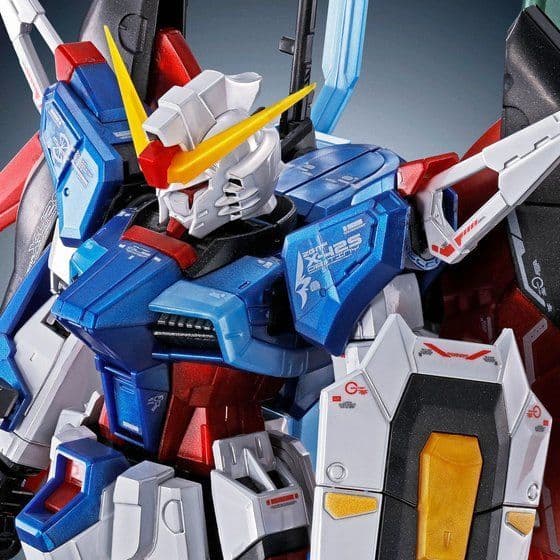 RG デスティニーガンダム チタニウムフィニッシュ+光の翼