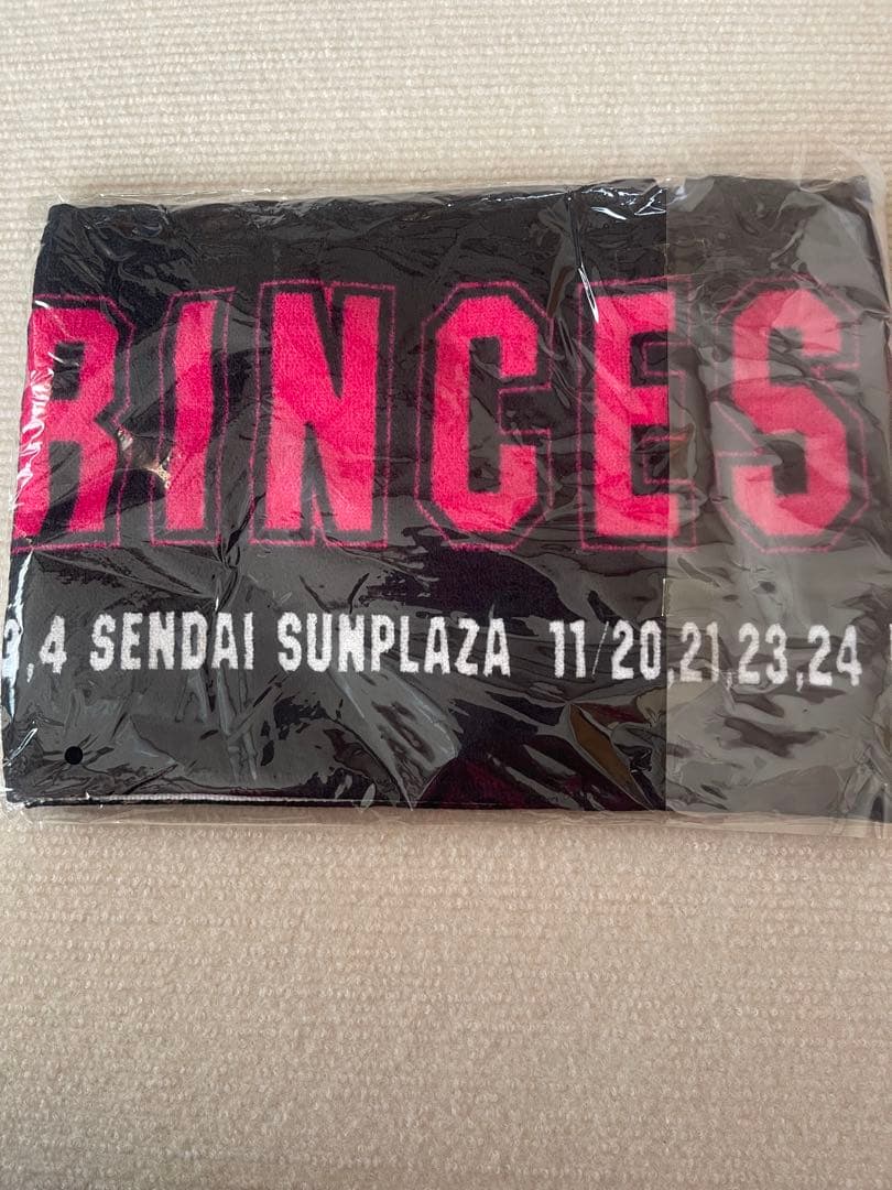 PRINCESS PRINCESS ツアーグッズ 2012年プリンセスプリンセス