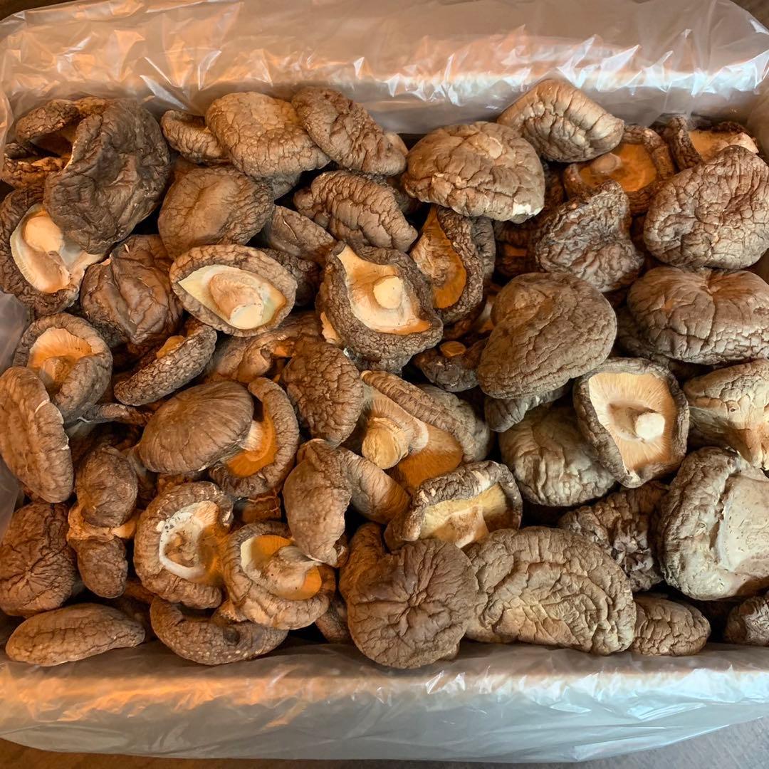 業務用　【産地直送】 乾燥椎茸　1kg 業務用　しいたけ　岩手県産　東北の味