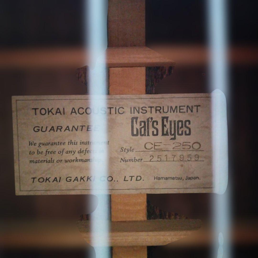 Tokai CE-250 Cat's Eyes アコースティックギター
