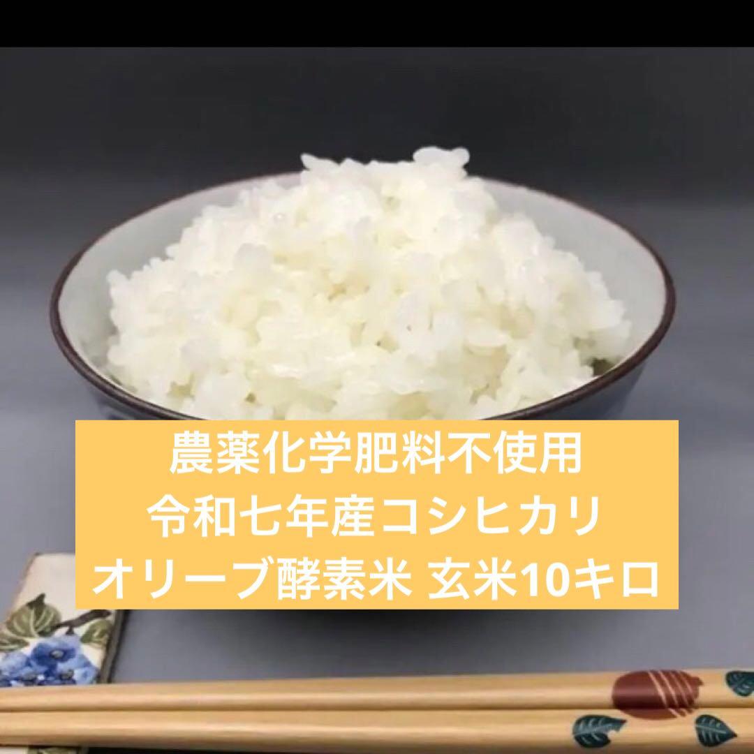 令和七年産 農薬・化学肥料不使用 近江米コシヒカリ オリーブ酵素米10キロ