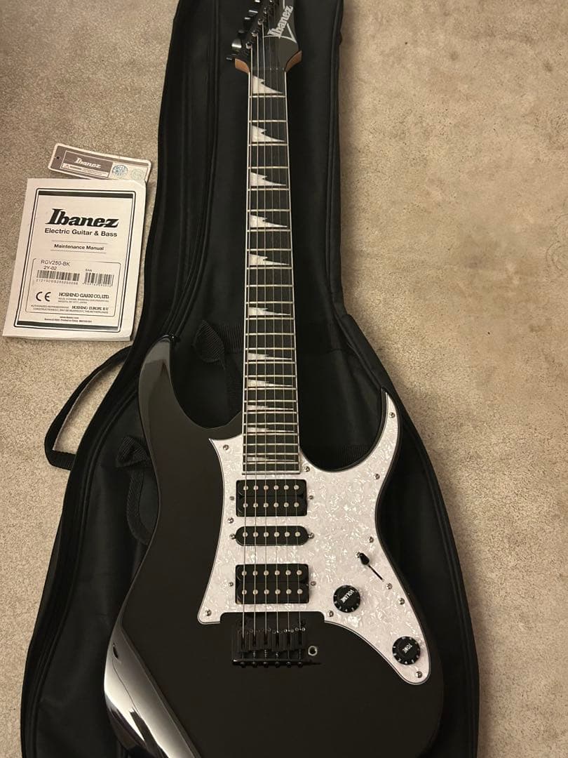 Ibanez RGV250-BK ソフトケース アーム 説明書付属 値下げ交渉〇