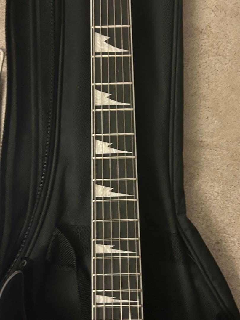 Ibanez RGV250-BK ソフトケース アーム 説明書付属 値下げ交渉〇