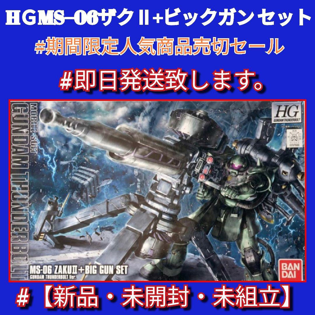HＧMS-06ザクⅡ+ビックガン(サンダーボルトVer．)新品・未使用