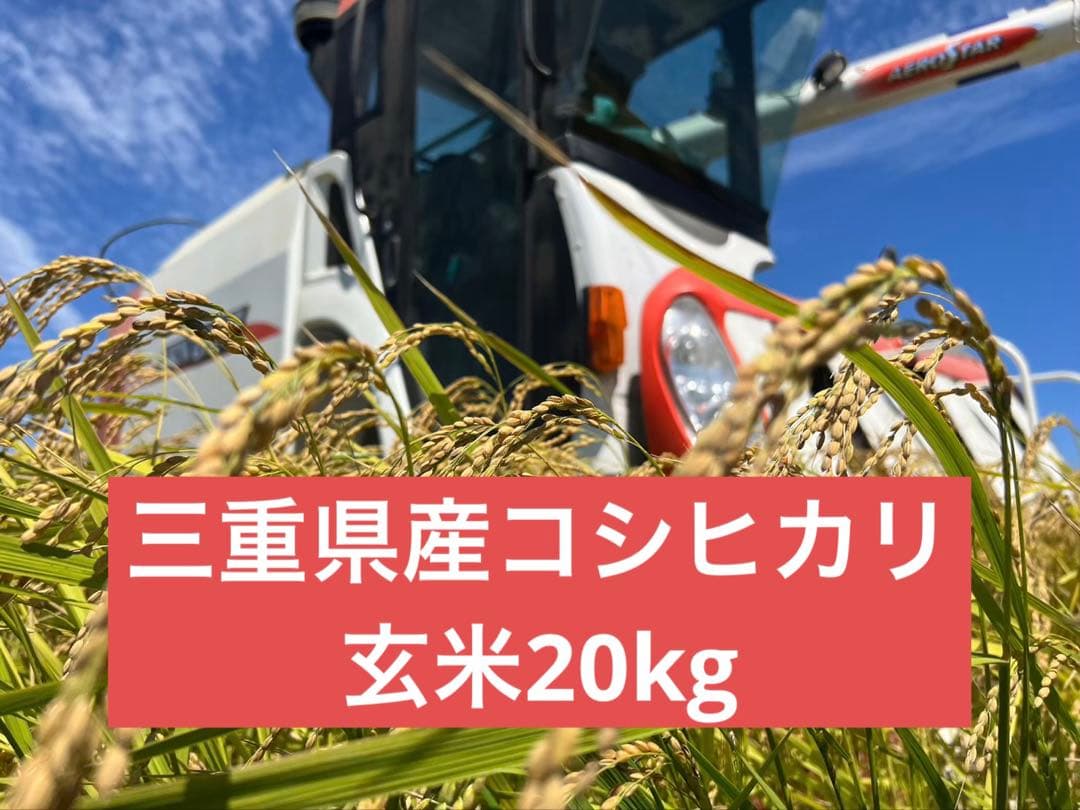 令和7年三重県産コシヒカリ　米　玄米20kg