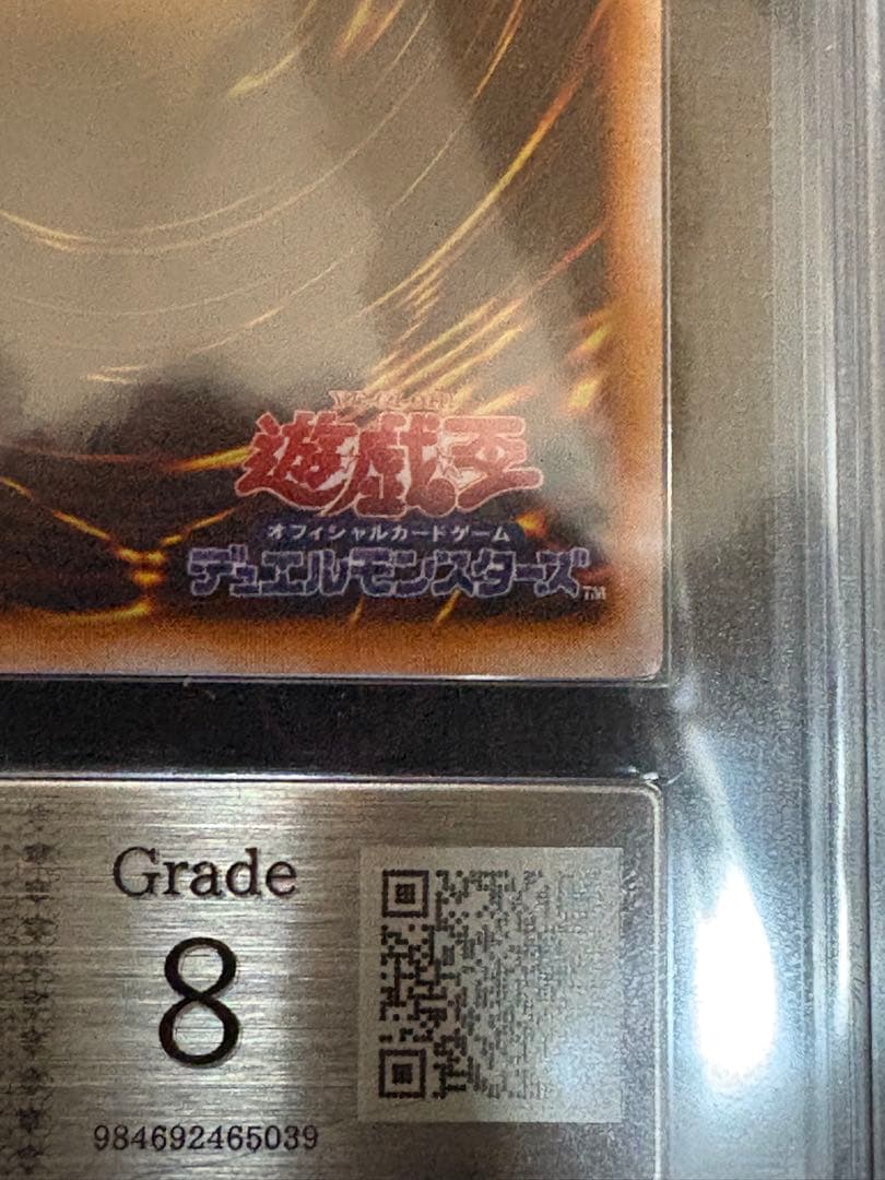 レッドアイズブラックメタルドラゴン ars8