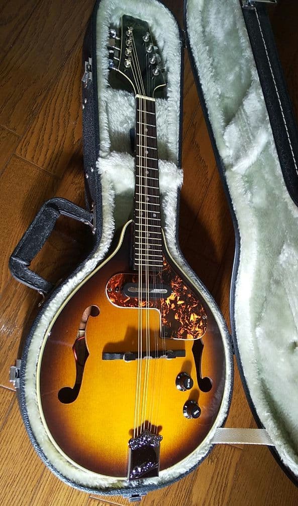 フラットマンドリン アリアAM-200E