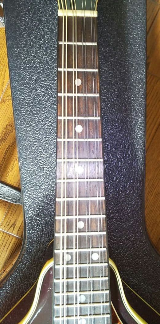 フラットマンドリン アリアAM-200E