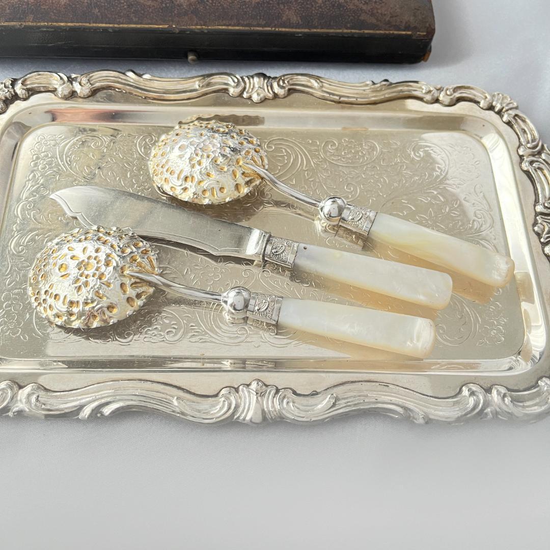 【Allen & Darwin】【白蝶貝】ベリーサーバー / バターナイフ