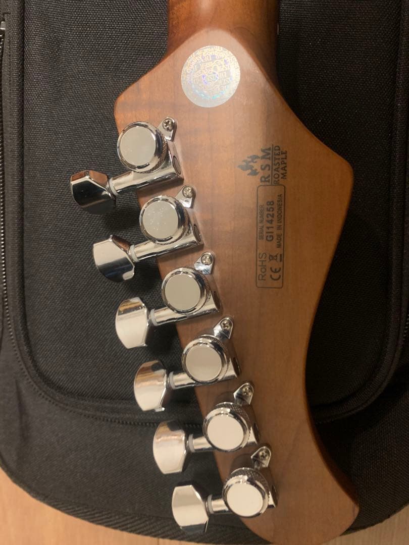 ギター Bacchus BSH-AGED/RSM SBBD-AGED