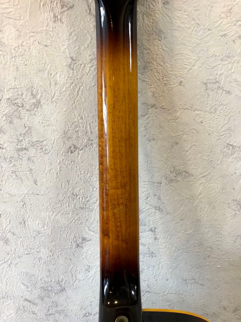 アイバニーズ　Ibanez JP20