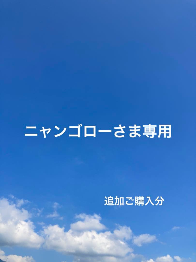 ❁⃘*.゜ニャンゴローさま専用❁⃘*.゜ 追加ご購入分