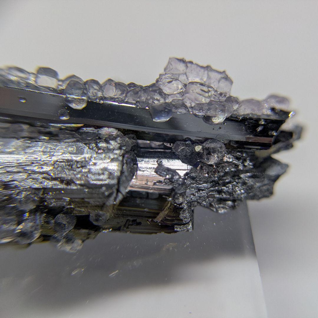 スティブナイト　フローライト　共生