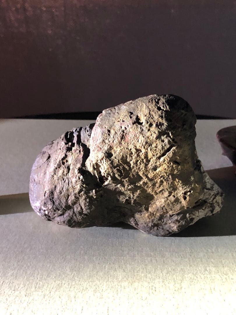 菊花石　自然石 コレクション 木製台座付き