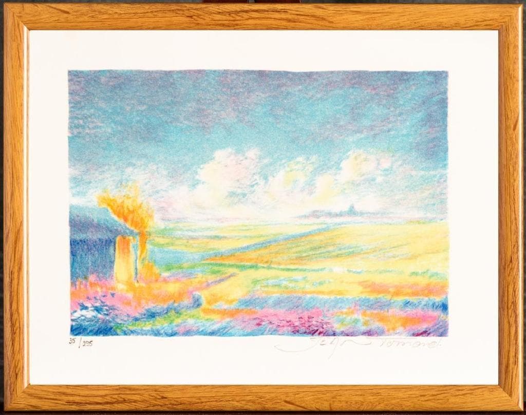 綺麗な版画 エディション・サイン入り(作者不詳) 外寸約320×247mm 5