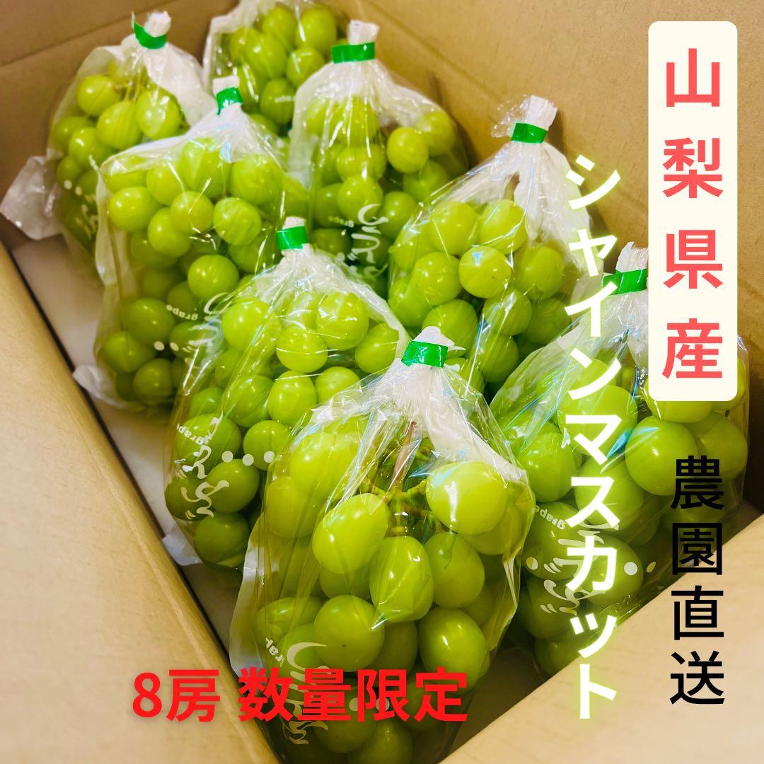 【最終 秀品 シャインマスカット8房】山梨県産シャインマスカット 化粧箱送料込