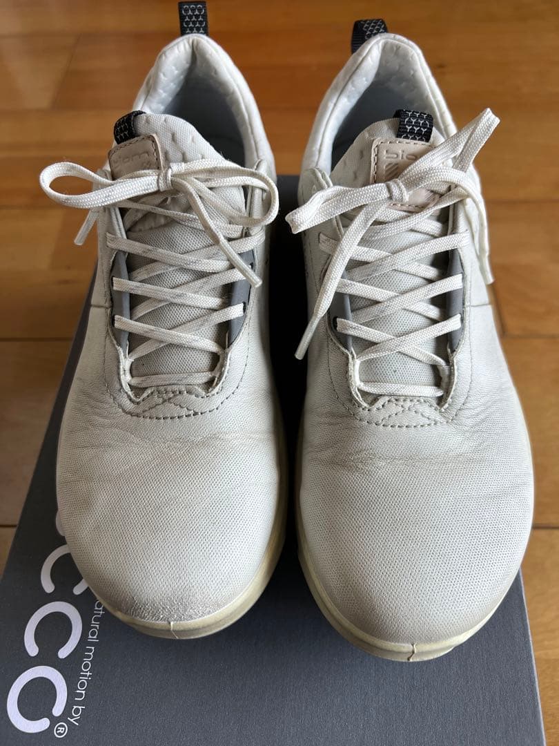 エコー　ゴルフシューズ