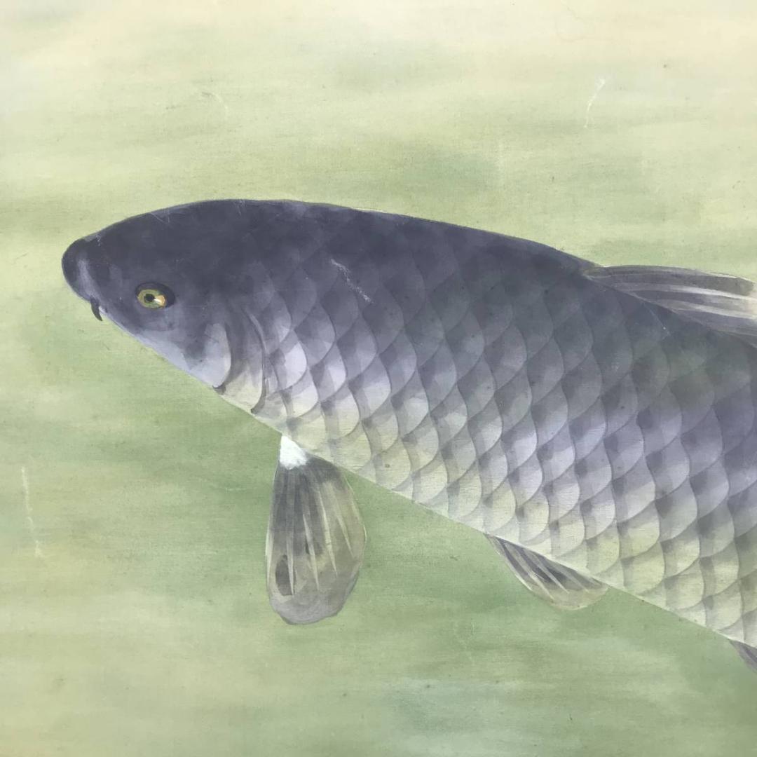 真作/羽田晃雅/鯉図/游鯉図/遊鯉図/コイ図/掛軸/名家伝来/AD-905