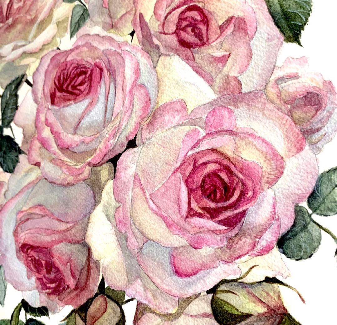 薔薇　水彩画