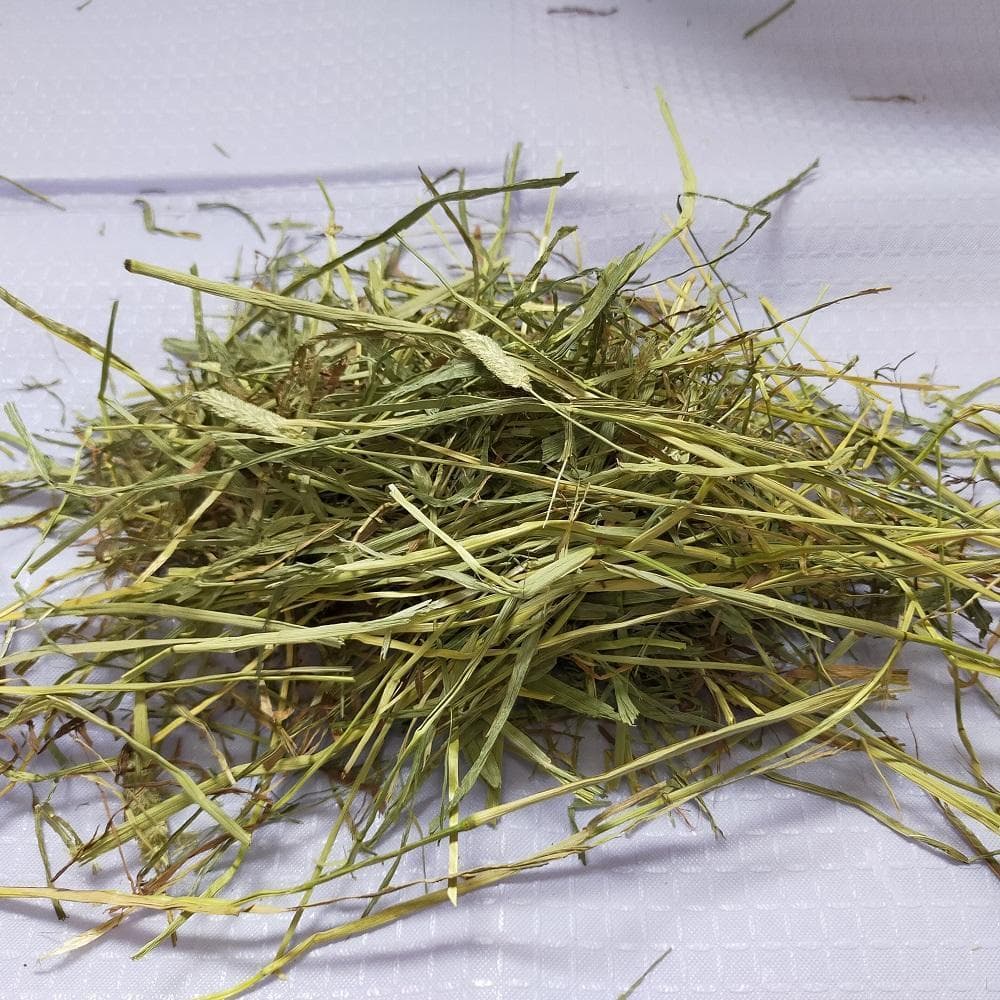 【12/30まで】US産 チモシー 40kg ２番刈 ソフトSプレミアム