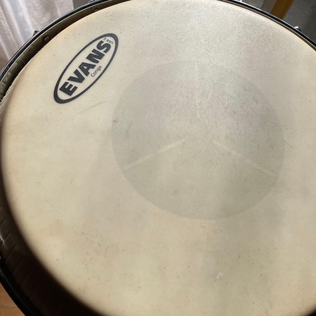LP コンガ　EVANSプラヘッド