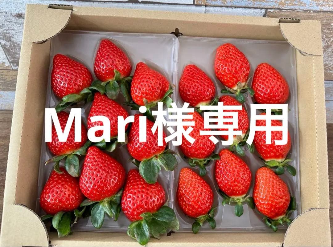 埼玉県プレミアムいちご あまりん&べにたま 食べ比べセット 5セット