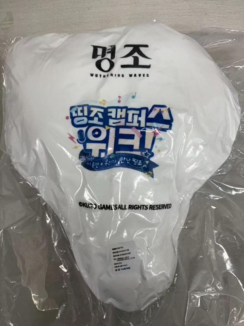 韓国限定 鳴潮 キャンパス 男漂泊者 クッション